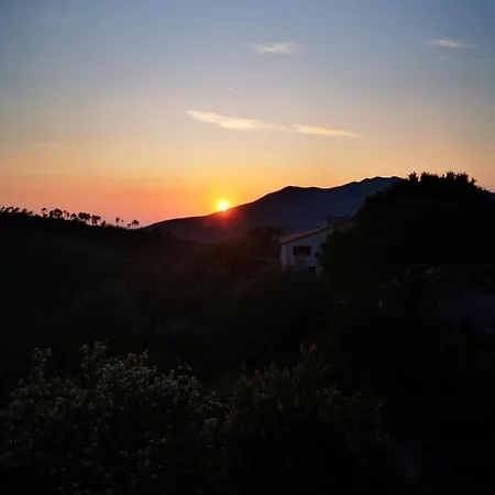 La Casa Di Lice Lägenhet *